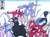 "Magpie Dreaming"